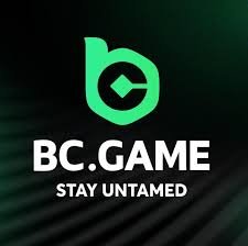 Discover the Excitement of BC.Game Online Casino Platform -154222436