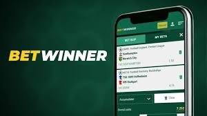 Comprehensive Betwinner Reviews and Ratings What Users Are Saying