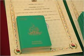 Understanding the Costs of a Vanuatu Passport An In-Depth Guide