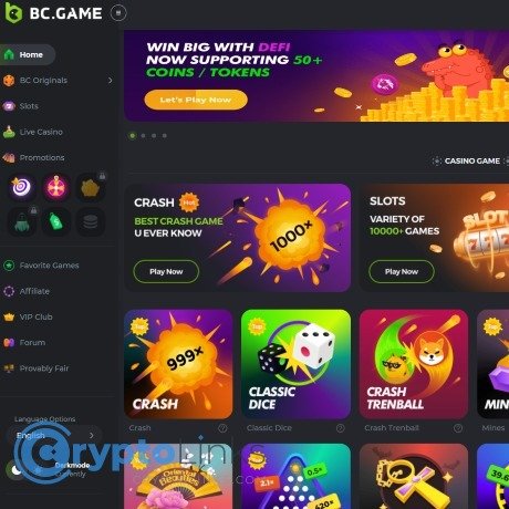 Exploring the Exciting Features of BC.Game’s Online Casino